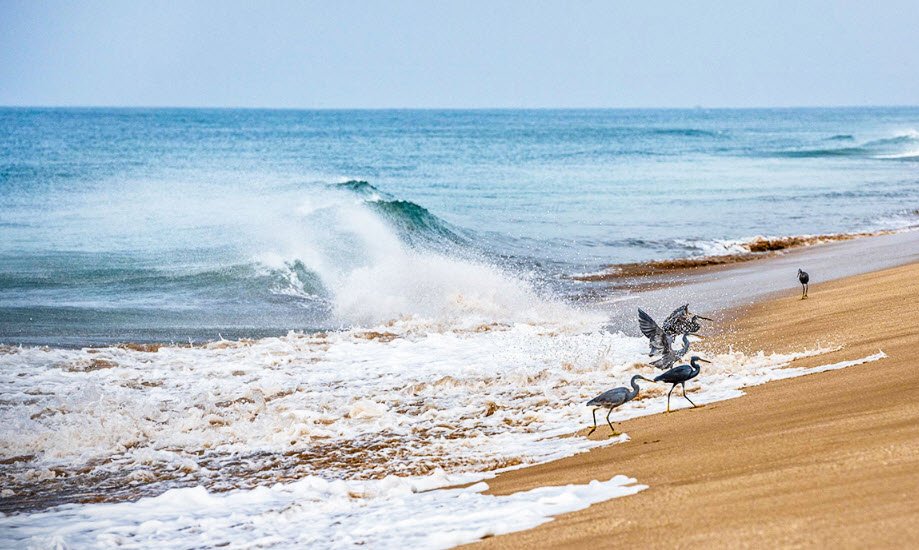 Ahemedpur Mandvi(Gir Somnath) Beach, Gir Somnath, Gujarat - Vushii.com